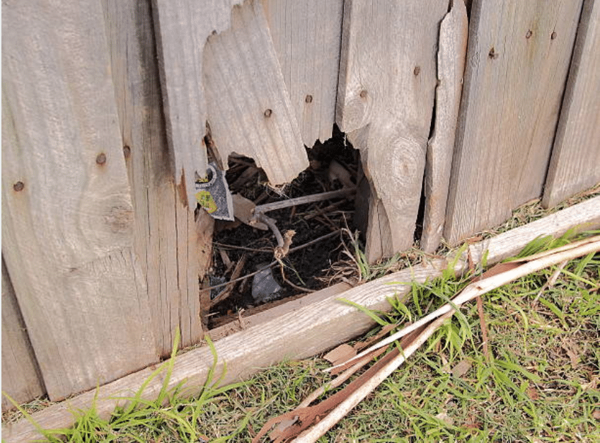 Wood fence with hole in Eugene Oregon